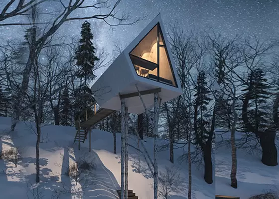 Light Steel Frame House Of Garden Studio Are Highly Customisable House Framing Design