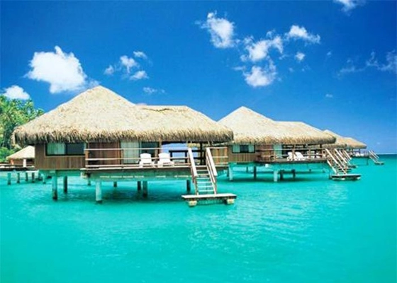 Steel Structure Wooden Decorate Houses , Prefabricated Bungalow Homes