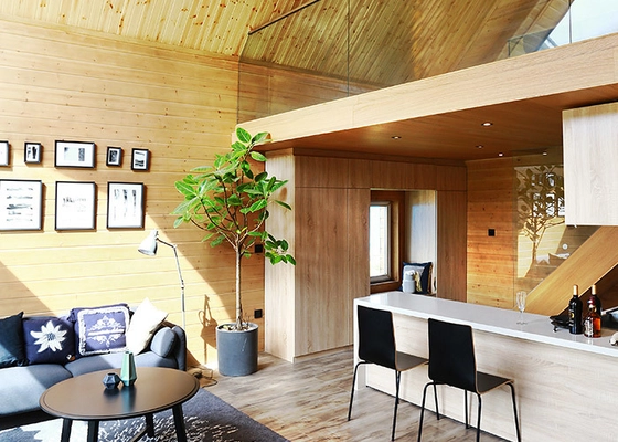 ISO 9001 Modern European Style Luxury Villa with Steel Frame modular home Kits