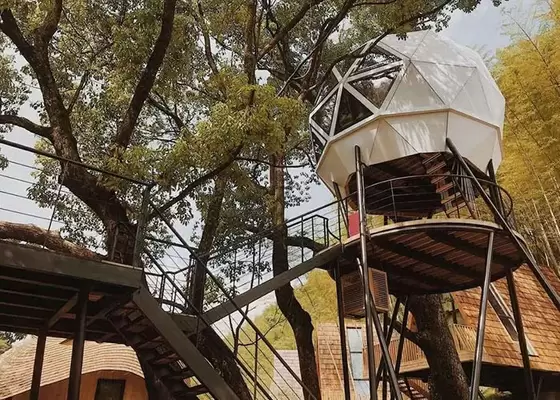 Light Gauge Steel Structure Dome Home Prefab Garden Studio Tree House
