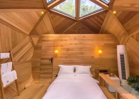 Light Gauge Steel Structure Dome Home Prefab Garden Studio Tree House